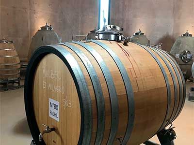 Cómo se crean los viñedos y bodegas para lograr los mejores vinos del mundo